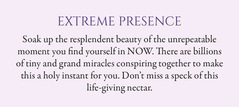 Awakened Dreamer Mini Cards - Kelly Sullivan Walden