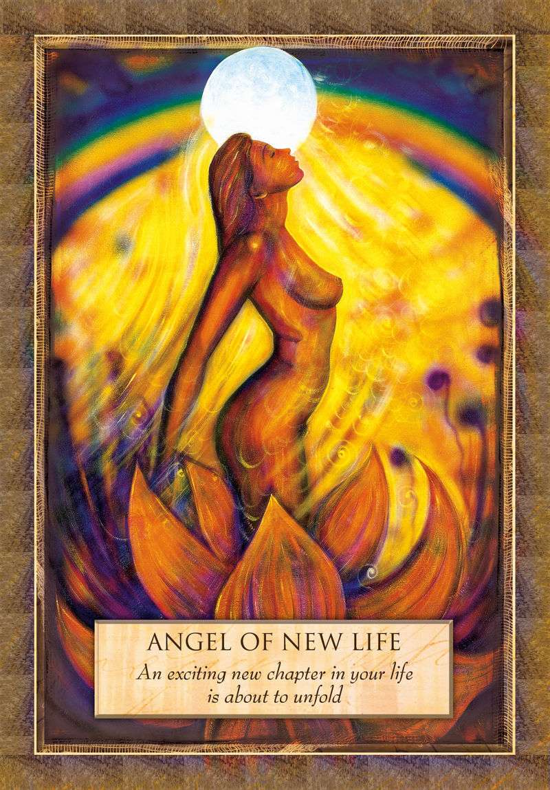 Angels, Gods and Goddesses Oracle Cards - Toni Carmine Salerno
