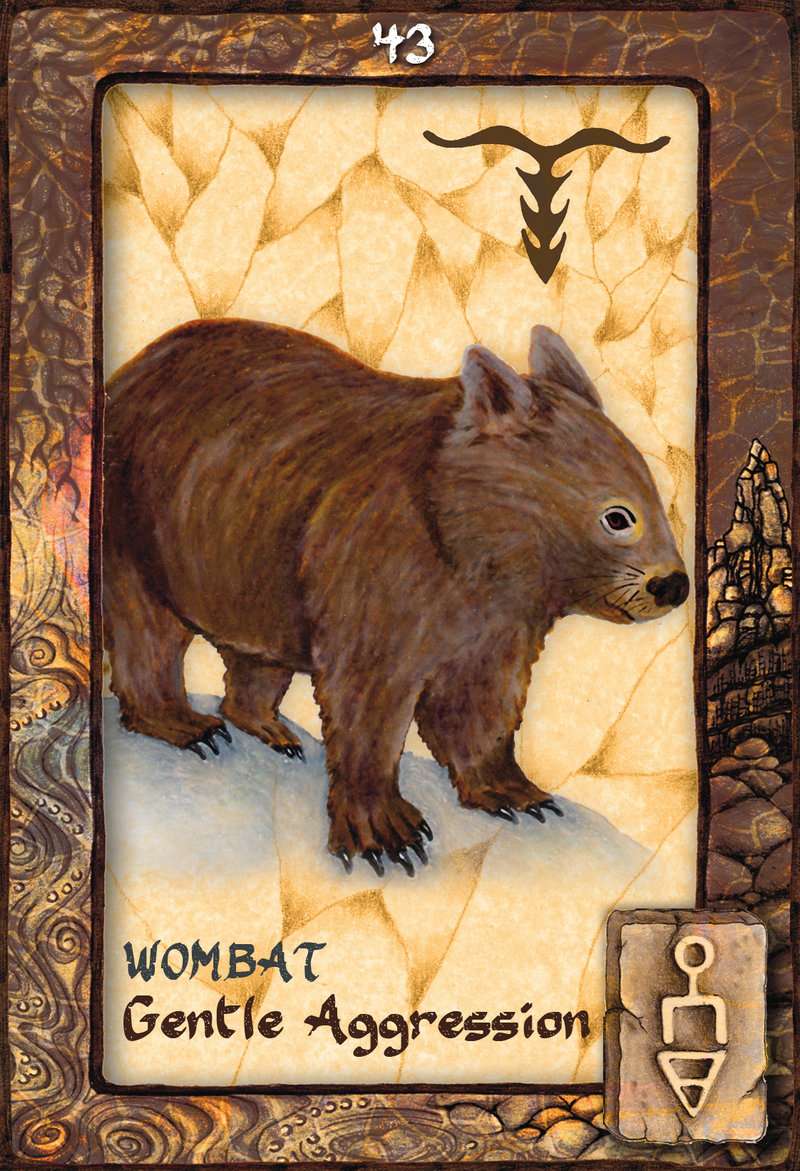 Animal Dreaming Oracle Cards - Scott Alexander King
