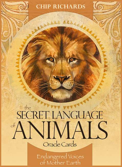 Secret Language of Animals Oracle Cards - Chip Richards and Jimmy Manton