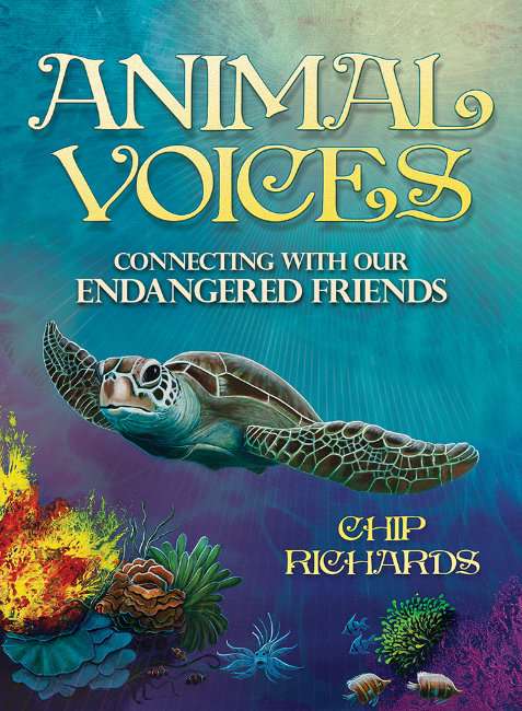 Animal Voices Cards - Chip Richards