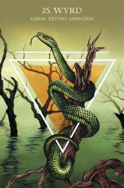 Animal Guide Rune Cards - Dawid Lipka and Bartosz Mazik