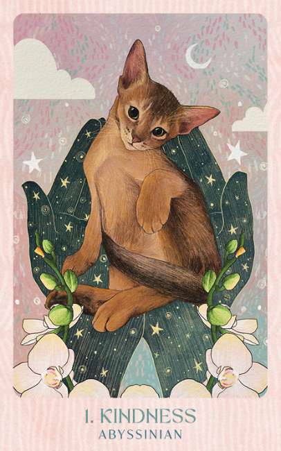 Ask the Feline Sages - Wisdom From Our Cherished Cats