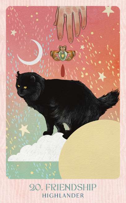 Ask the Feline Sages - Wisdom From Our Cherished Cats