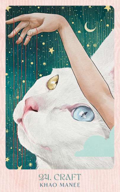 Ask the Feline Sages - Wisdom From Our Cherished Cats