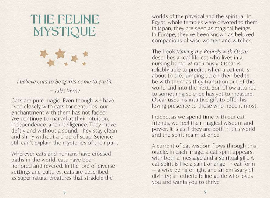 Ask the Feline Sages - Wisdom From Our Cherished Cats