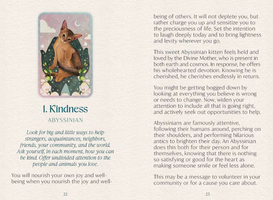 Ask the Feline Sages - Wisdom From Our Cherished Cats