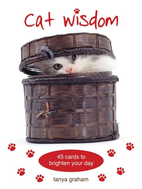 Cat Wisdom Cards - Tanya Graham