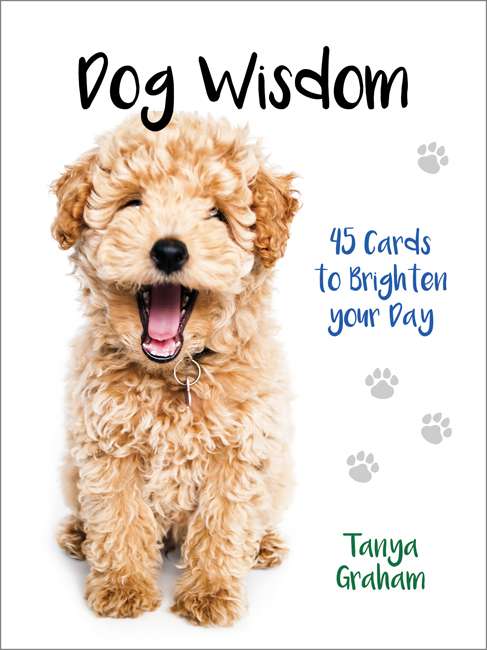 Dog Wisdom Cards (New Edition) - Tanya Graham