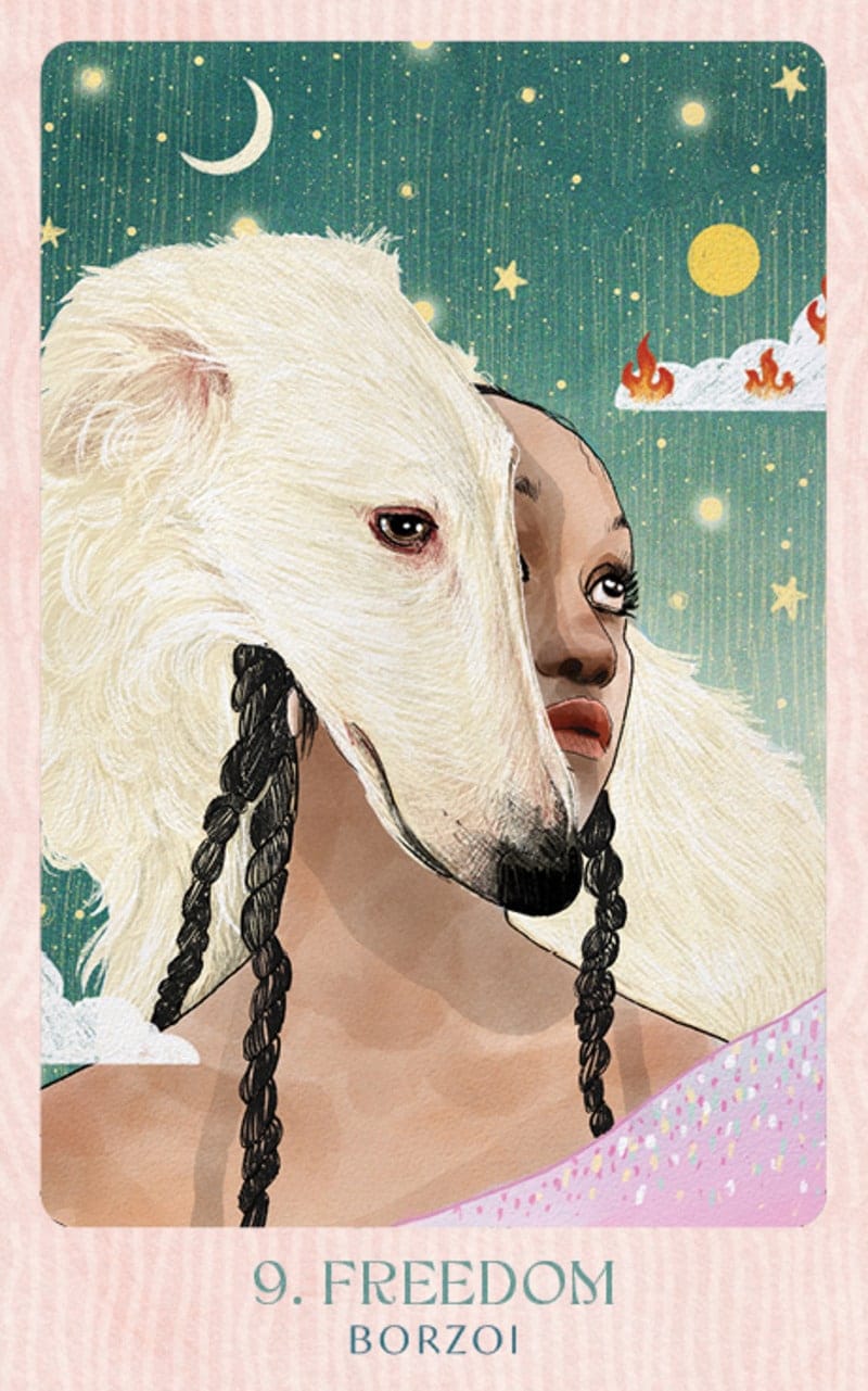 Ask the Canine Sages - Wisdom From Our Beloved Dogs