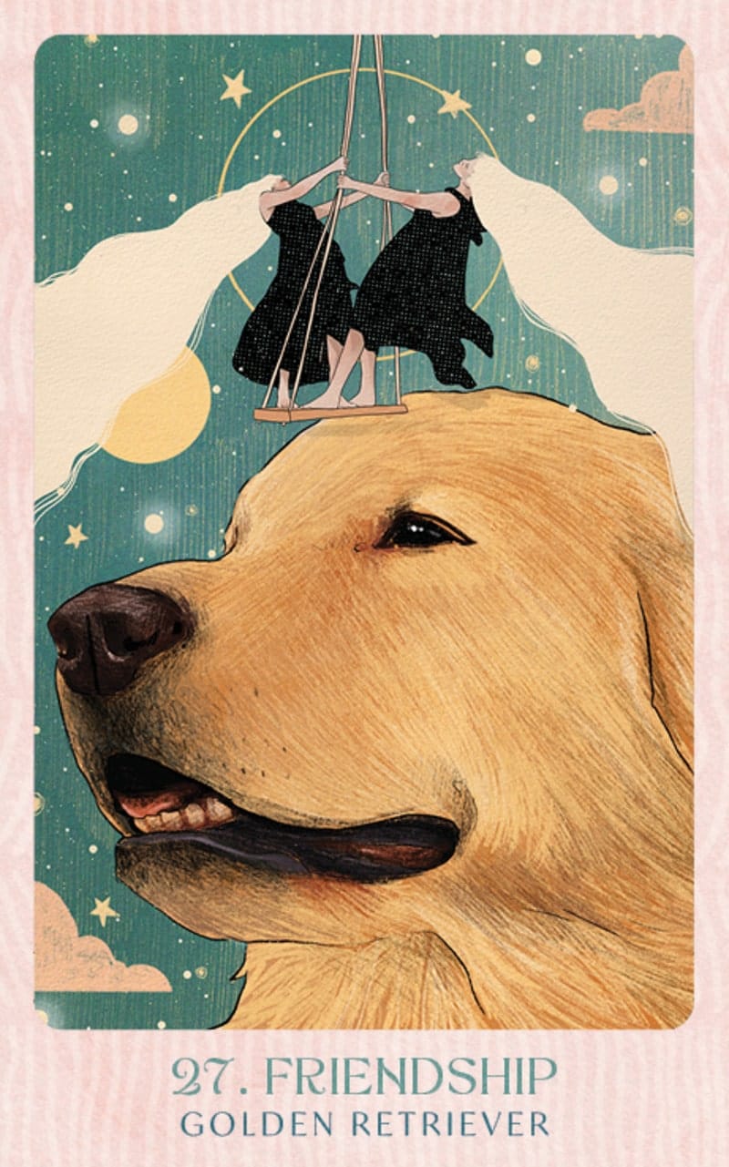 Ask the Canine Sages - Wisdom From Our Beloved Dogs