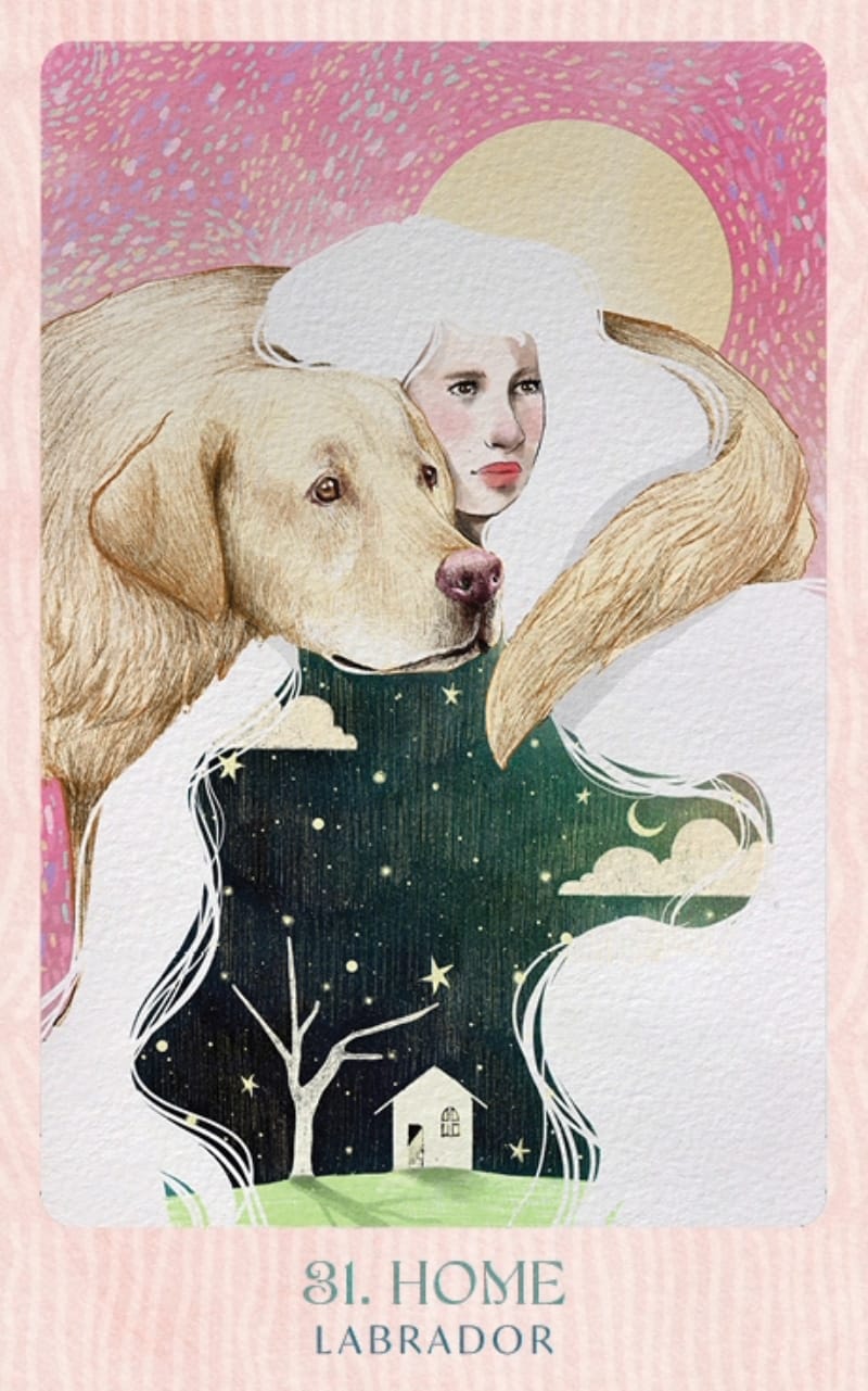 Ask the Canine Sages - Wisdom From Our Beloved Dogs