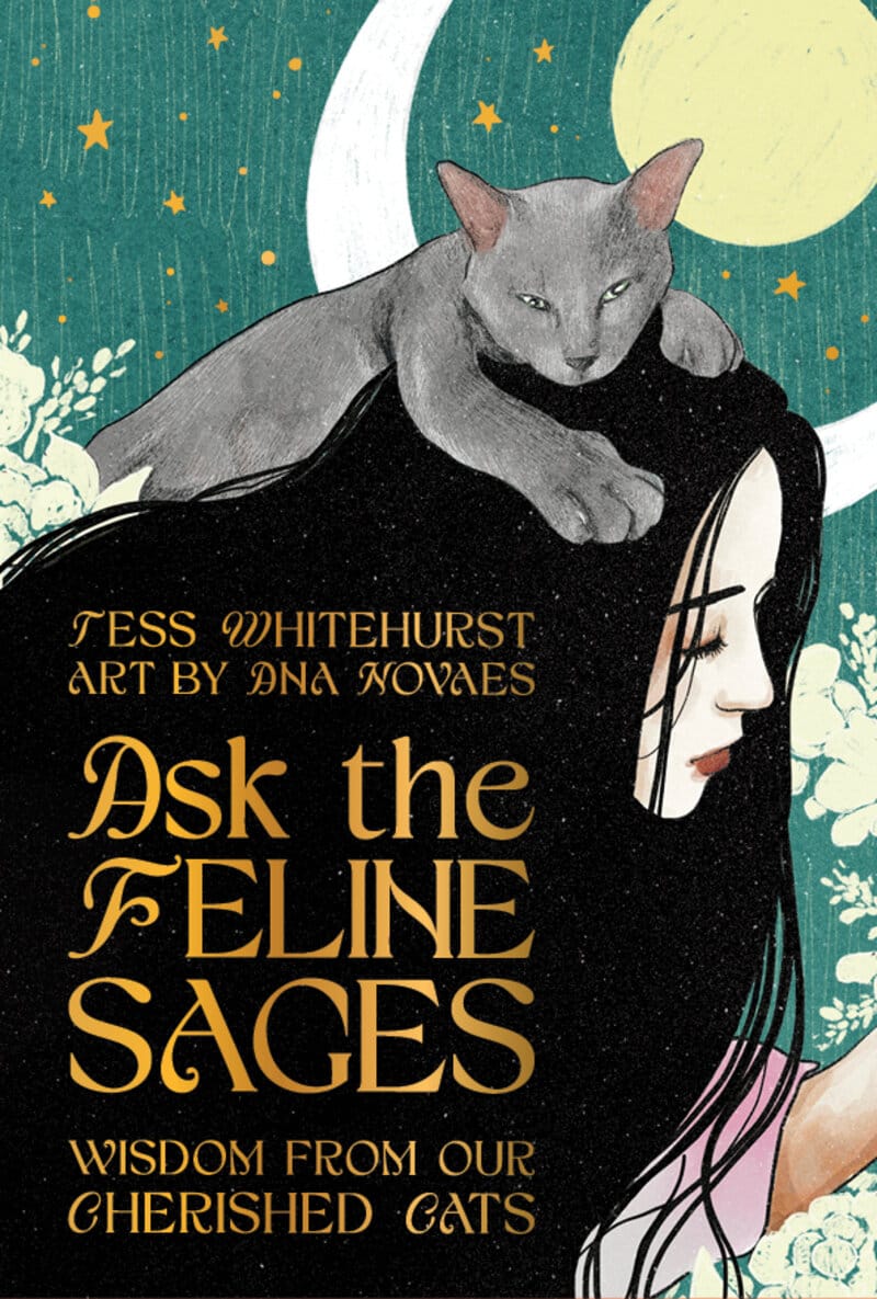 Ask the Feline Sages - Wisdom From Our Cherished Cats
