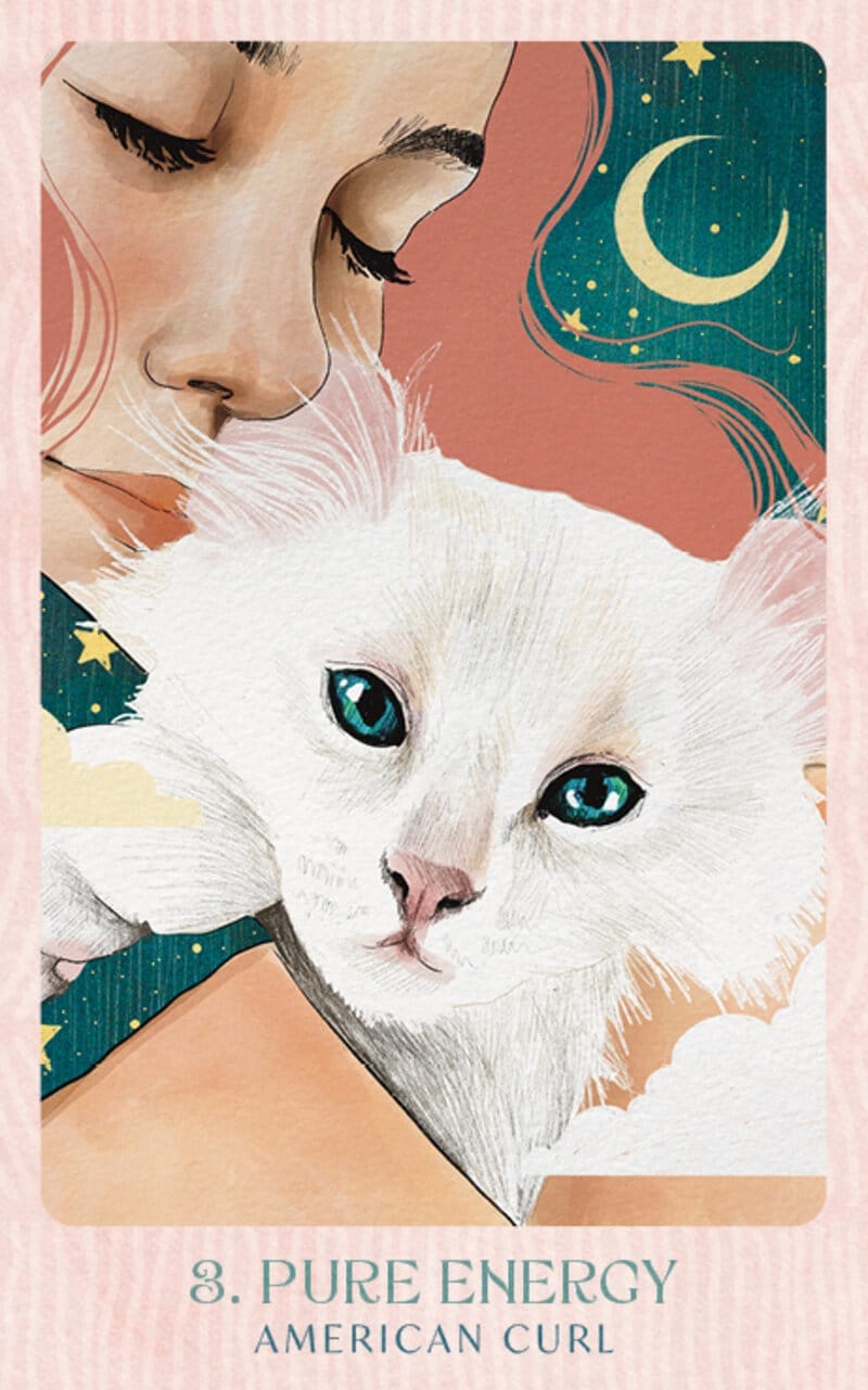 Ask the Feline Sages - Wisdom From Our Cherished Cats