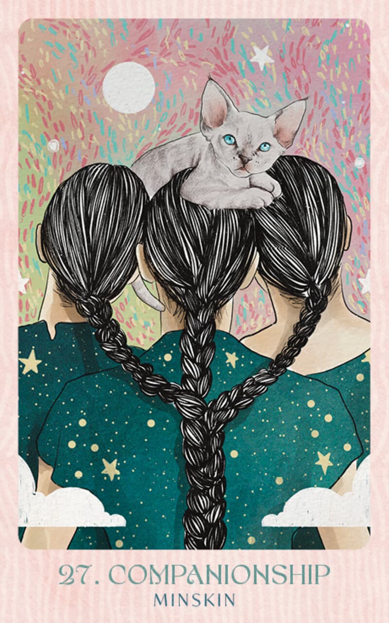 Ask the Feline Sages - Wisdom From Our Cherished Cats